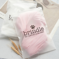 Mini Sac d'Expédition Personnalisé avec Logo, Fermeture Éclair Coulissante Transparente Givrée en Plastique pour Emballage Zip