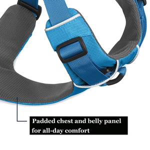 <span class=keywords><strong>Harness</strong></span> Anjing Berkualitas Tinggi, Terjangkau, Dapat Disesuaikan, Personal, Tahan Lama, dan Nyaman - Product Image 3
