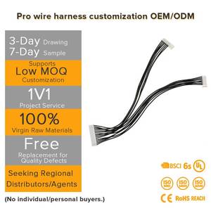 ชุดสายไฟแบบกำหนดความยาวเองและสายไฟแบนพร้อมขั้วต่อแบบพินที่แม่นยำสำหรับการใช้งานเฉพาะทาง - Product Image 3