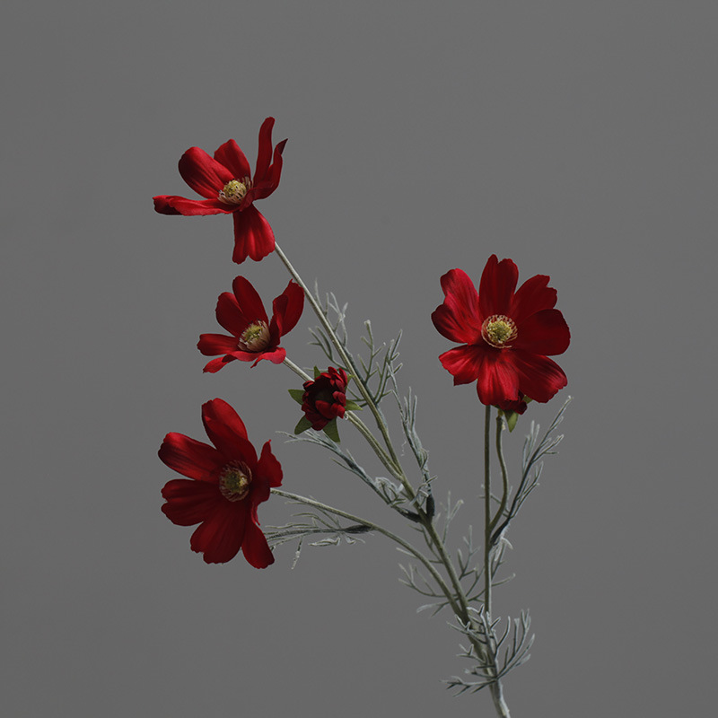 Rouge vif