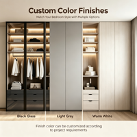 Armoire intégrée moderne sur mesure avec portes en verre, éclairage LED, 2 tiroirs, porte pleine en bois massif pour chambre et hôtel