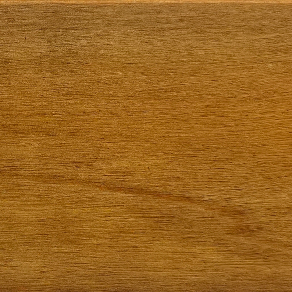 MJ-2509