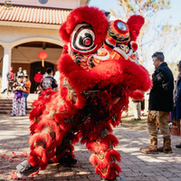 LD09 costume traditionnel de danse de lion pour adulte, célébration du nouvel an chinois, danse de tête de lion en laine