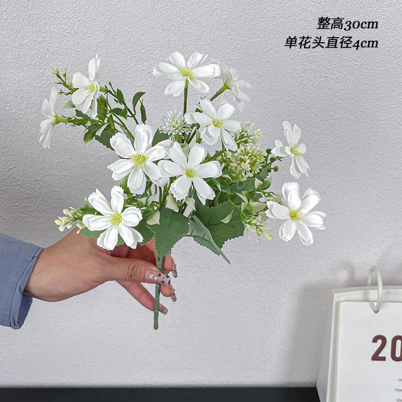 Mariposa echeveria blanca única