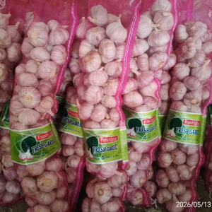 Ail frais chinois 2,5 KG, emballage en sac fileté, taille 5cm 5,5cm, prix abordable, ail frais blanc pur, exportation vers Dubaï - Product Image 3