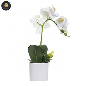 M069 ขายส่ง<span class=keywords><strong>Dendrobium</strong></span> Cattleyaกล้วยไม้พืชผ้าไหมที่เก็บรักษาไว้สีขาวPhalaenopsisกล้วยไม้หม้อประดิษฐ์กล้วยไม้ในหม้อ - Product Image 5