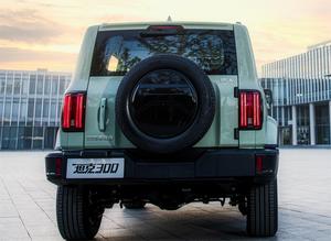 2023 tanque 300 conmemorativo 2,0 T 4WD AWD 5 asientos versión coches usados China nuevo Super velocidad rápida SUV gasolina <span class=keywords><strong>coc</strong></span> - Product Image 2