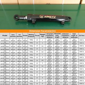 Cilindro Hidráulico de Alta Capacidade de Carga HSG de 3 Toneladas, Diâmetro de 50mm, Ação Dupla, Curso de 50, 100, 200, 300mm em Estoque - Product Image 3