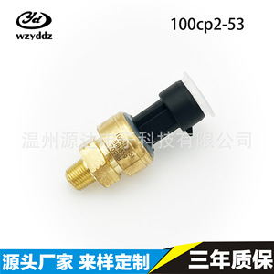 Capteur de pression 100CP2-53, jauge 0-60 bar, installation filetée - Product Image 5