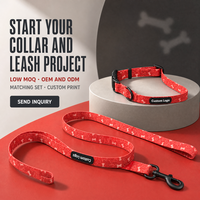 Ensemble collier et laisse pour chien en PVC enduit rouge à motif d'os, personnalisable, pour la sublimation, accessoires de promenade pour animaux de compagnie, commandes OEM ODM en gros