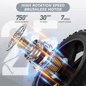 Entrepôt DE Vélo Électrique Jansno X50 250W 48V 20 Pouces Batteries au Lithium 14AH-17AH Vélo Électrique Cadre en Acier Moteur Moyeu Arrière - Product Image 4