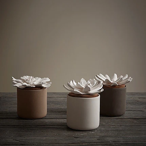 Набор керамических цветочных диффузоров - Product Image 1