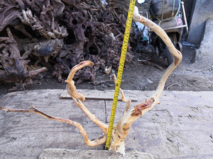 Groothandel Aquarium Geel Drijfhout Wortels - Product Image 4