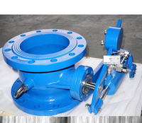 Clapet anti-retour à disque inclinable de type papillon en fonte ductile GGG50 avec contrepoids, taille DN150-DN1800, BSEN593, fabrication professionnelle