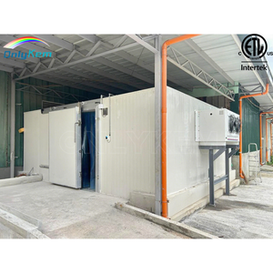 Cella Frigorifera a Energia Solare da 5 Gradi Celsius per 3 Tonnellate di Frutta, Congelatore per Carne di Pollo Congelata - Product Image 2