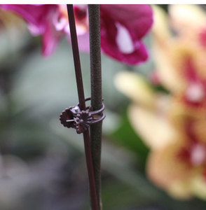 P10 marrone piccole piante rampicanti medie vite singolo stelo piante orchidee clip per il supporto delle piante - Product Image 5