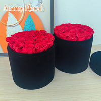 AM-PFB08 Ammy Rose éternelle en boîte ronde en velours, cadeau de fleurs éternelles pour la Saint-Valentin, la fête des mères, décoration de la maison