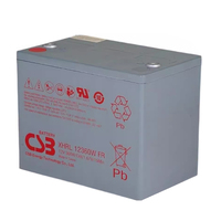 Batterie de stockage d'énergie domestique de secours haute puissance Trade Bank CSB XHRL12620W FR 12V620W