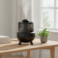 Humidificateur Électrique Ultrasonique Portable, Aromathérapie, Désinfection, Capacité 2L, Veilleuse, Brume Froide, Maison, Chambre, Bureau