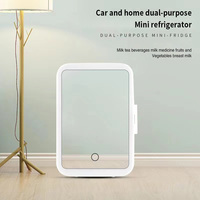Mini refrigerador portátil de 4L con espejo de maquillaje y luz LED, enfriador eléctrico para camping, nevera de 12V para caravanas.