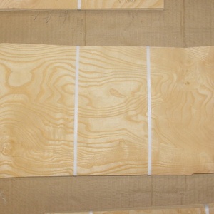 Chapa de Madera de Fresno INWOOD en Venta, Diseño Moderno en Amarillo con Vetas de Bola y Pomelli, Corte en Rodajas para Decoración de Hoteles y Muebles - Product Image 2