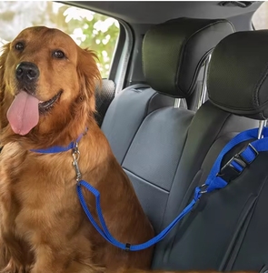 Dây đai an toàn xe hơi hai trong một cao cấp, có thể điều chỉnh, chất liệu nylon màu trơn, kèm dây dẫn an toàn ghế sau và dây đai cổ thời trang cho chó - Product Image 1
