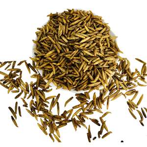 Larves de Mouches Soldat Noires Séchées au Micro-ondes pour l'Alimentation des Tortues, Poissons, Poulets et Animaux – Sans Additifs Alimentaires, Facile à Stocker - Product Image 6