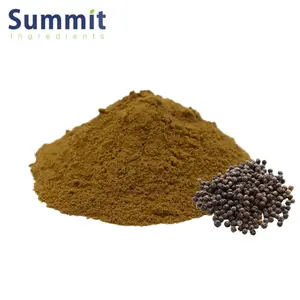 Pure Natural Black Pepper Extract 95%Piperine Black Pepper Extract Powder