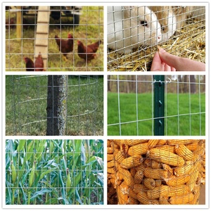 6ft X 3ft Weld <strong>Mesh</strong> Panel Uses Powder Coated Welded Panel <strong>Chicken</strong> Square <strong>Wire</strong> <strong>Mesh</strong> Temporary Fence
