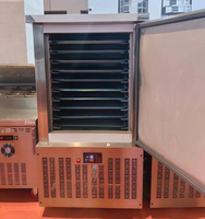 Congélateur rapide commercial en acier inoxydable avec roulettes, armoire de congélation à basse température pour aliments et fruits de mer