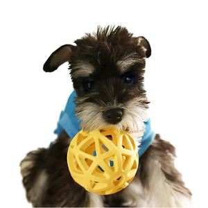 Juguete Masticable de Goma Natural con Orificios para Perros, Pelota para Limpiar los Dientes, Juguete Interactivo y Colorido para Entrenamiento - Product Image 1