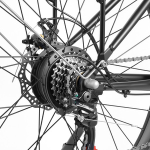 Vélo électrique élégant pour femmes <span class=keywords><strong>VAE</strong></span> 250W 36V 10.5Ah, vélo <span class=keywords><strong>de</strong></span> <span class=keywords><strong>ville</strong></span>, 7 vitesses, frein à disque mécanique, écran LCD, vélo urbain - Product Image 4
