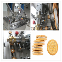 Nouvelle ligne de production de biscuits à grande échelle en acier inoxydable avec four de cuisson et certification CE, capacité de 100 kg/h à 1000 kg/h