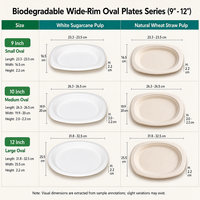 Assiettes jetables biodégradables en bagasse, plats ronds, vaisselle moderne pour les pique-niques scolaires et la restauration
