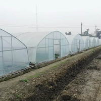Grande serre agricole monopente avec tunnel haut pour culture de légumes, abri agricole en acier galvanisé à chaud