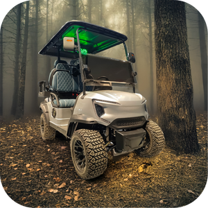 รถกอล์ฟไฟฟ้า4 + 2ที่นั่ง7500W รถกอล์ฟประสิทธิภาพสูง - Product Image 6