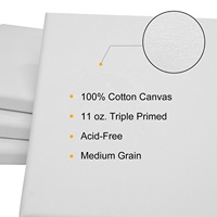 Toile blanc extensible de 16x20 pouces, Phoenix, en blanc pour peinture, offre spéciale