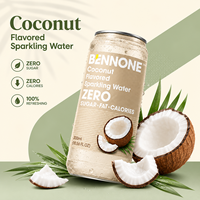 Nouvelles Boissons Gazeuses Fruitées Mojito avec Soda Aromatisé Personnalisé, Bouteille de 300ml BENNONE, Direct Chine, Haute Qualité