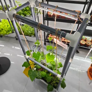Suporte de treliça de jardim interior kit de cultivo doméstico para plantas de escalada mini pepino cereja tomate com luz LED para cultivo