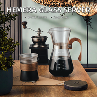 Carafe à café en verre borosilicate haute résistance avec filtre en acier inoxydable, pot à café pour infusion manuelle, pour la préparation quotidienne du café