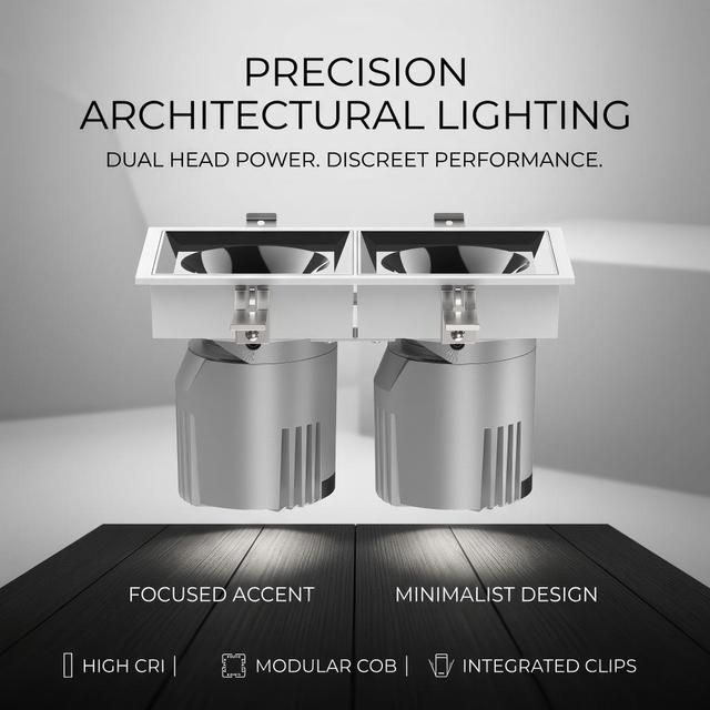 USA Standard DALI LED Square Double Head Downlight 10W/24W/40W Anti-Glare Reflector White/Black/Silver 5-Year Warranty