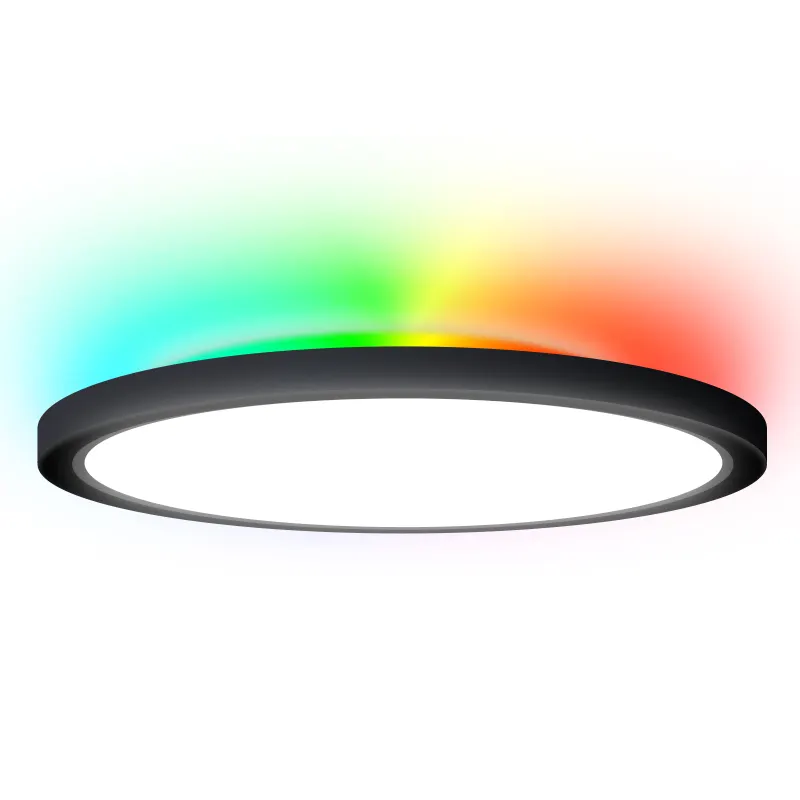 Flush Mount Ceiling Light Remote Control Round LED Closet Light 12 Inch 20W 2700-5000K RGB Overhead Light Fixture for Kitchen