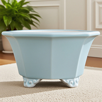 Pots à fleurs irréguliers, pot pour succulentes, pot pour bonsaï Yi Xing, pots de jardin en céramique d'intérieur, jardinières émaillées pour pots de jardin modernes