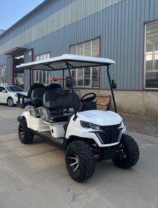 WELIFTRICH Mini lujo antiguo eléctrico clásico 4 pasajeros 6 plazas carrito de Golf 8 asientos para bodas resorts hoteles - Product Image 2