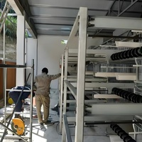 Cage à poules pondeuses de type H entièrement automatique pour une aviculture efficace
