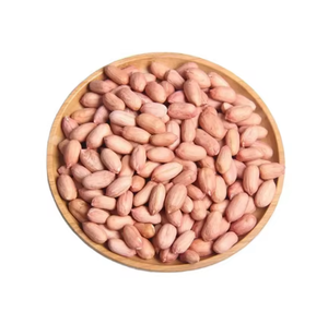 Käufer Großhandel Jumbo rohe fett blanchierte Erdnuss kerne zum Kochen - Product Image 4