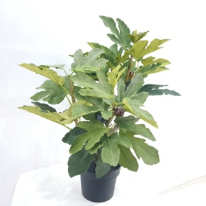 Cây Nhựa Nhân Tạo Mô Phỏng Cao Cây Vả Trang Trí - Product Image 3