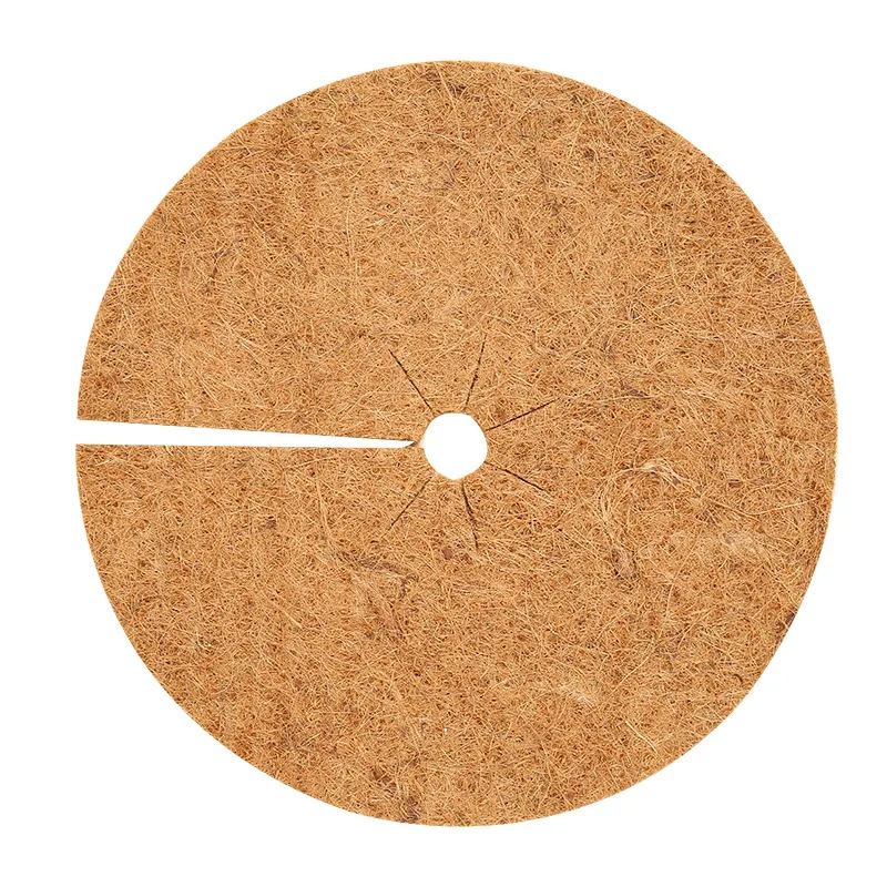 30cm
