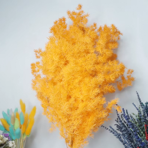 Bouquet de fleurs romantiques au toucher réel, Asparagus Myrioeladus Ming Fern préservé, éternel, DIY, Pampas, tiges en gros - Product Image 2