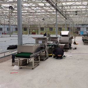 <span class=keywords><strong>MX</strong></span> Plantador de plántulas agrícolas Máquina de plantación de plántulas de cobertizo de verduras Máquina de siembra de plántulas de bandeja completamente automática - Product Image 2